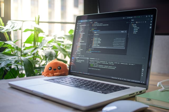Software Development